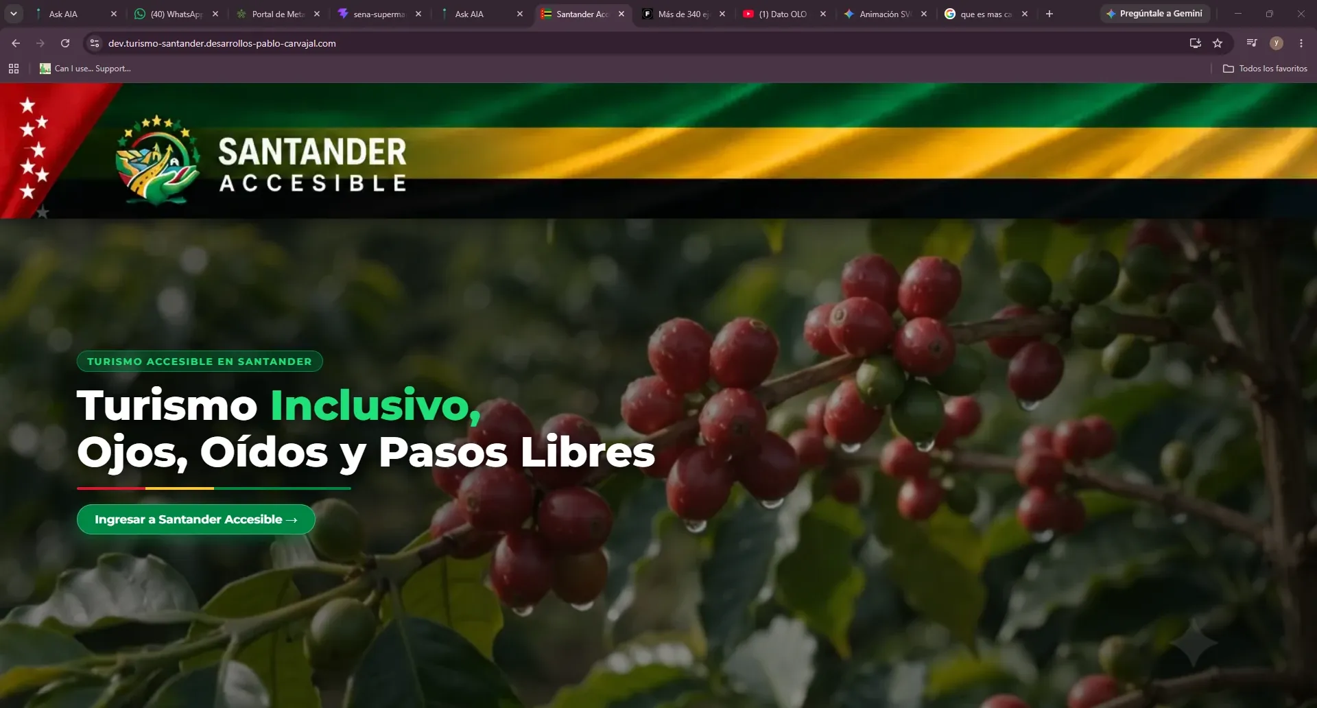 Vista de Santander Accesible